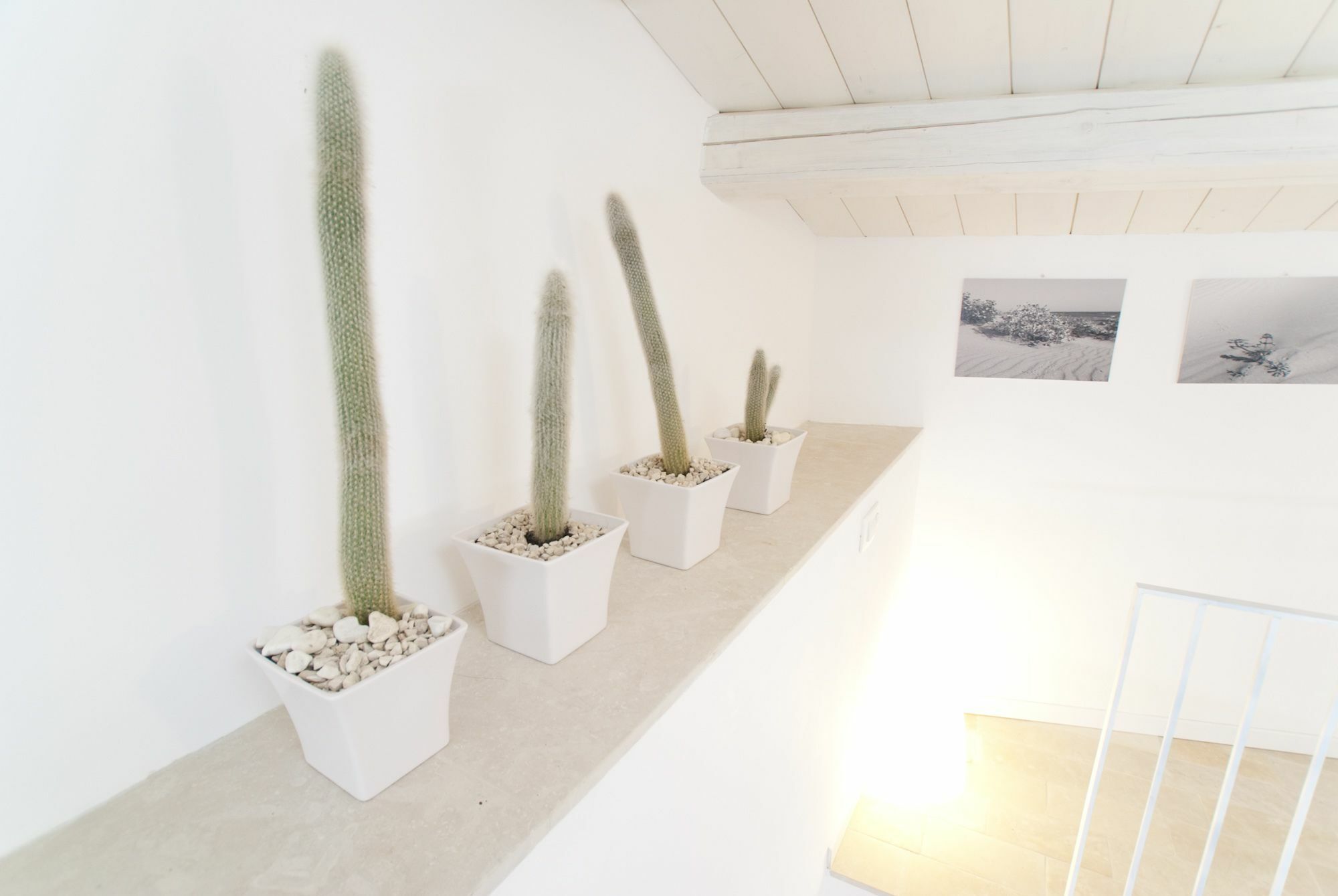 Le Stanze Del Sole Bed & Breakfast Ragusa Exterior photo